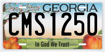 GA license plate CMS1250