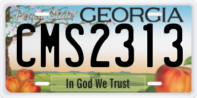 GA license plate CMS2313