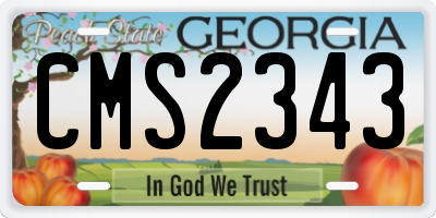 GA license plate CMS2343