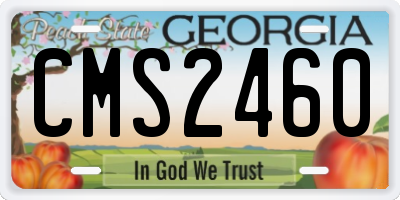 GA license plate CMS2460