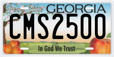 GA license plate CMS2500