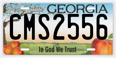 GA license plate CMS2556