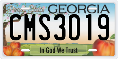 GA license plate CMS3019
