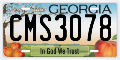 GA license plate CMS3078