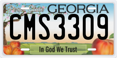 GA license plate CMS3309