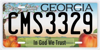 GA license plate CMS3329