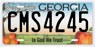 GA license plate CMS4245