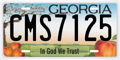 GA license plate CMS7125