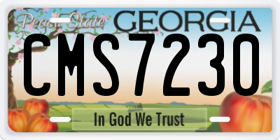 GA license plate CMS7230
