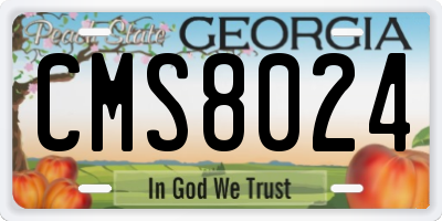 GA license plate CMS8024