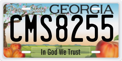 GA license plate CMS8255