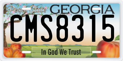GA license plate CMS8315
