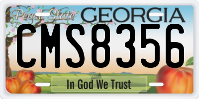 GA license plate CMS8356