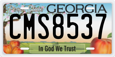 GA license plate CMS8537