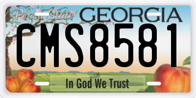 GA license plate CMS8581