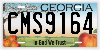 GA license plate CMS9164