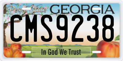 GA license plate CMS9238