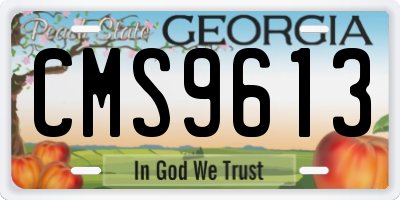 GA license plate CMS9613