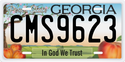 GA license plate CMS9623