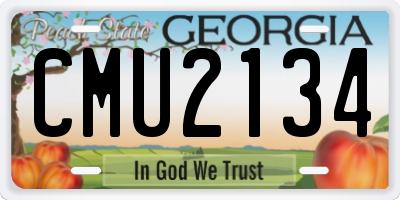 GA license plate CMU2134