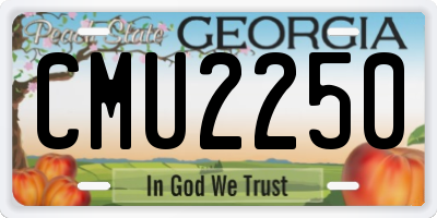 GA license plate CMU2250