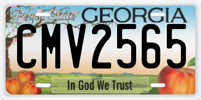 GA license plate CMV2565