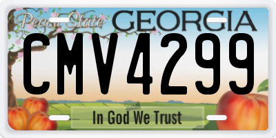 GA license plate CMV4299