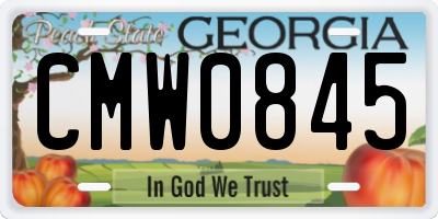 GA license plate CMW0845
