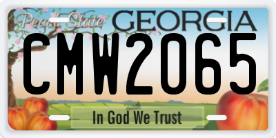 GA license plate CMW2065