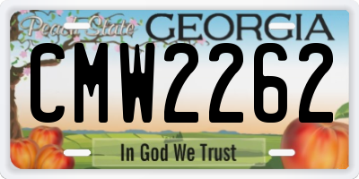 GA license plate CMW2262