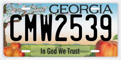 GA license plate CMW2539