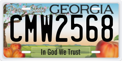 GA license plate CMW2568