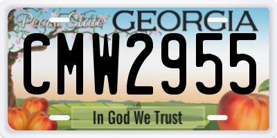 GA license plate CMW2955