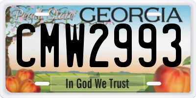 GA license plate CMW2993