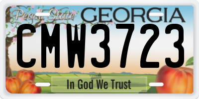 GA license plate CMW3723