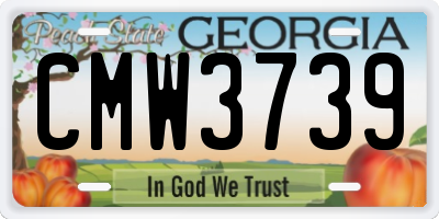 GA license plate CMW3739