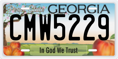 GA license plate CMW5229
