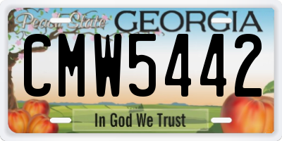 GA license plate CMW5442