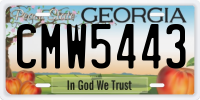 GA license plate CMW5443