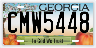 GA license plate CMW5448