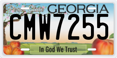 GA license plate CMW7255