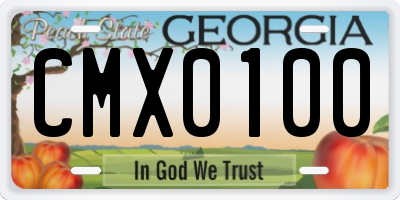 GA license plate CMX0100
