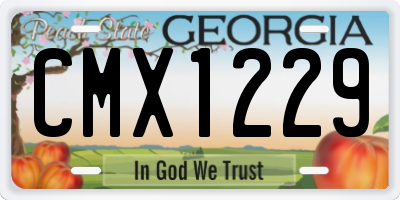 GA license plate CMX1229