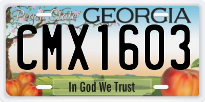GA license plate CMX1603