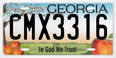 GA license plate CMX3316