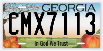 GA license plate CMX7113