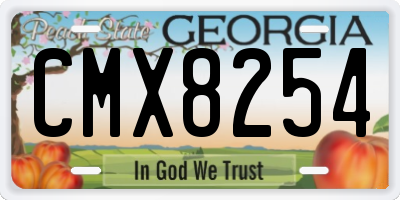 GA license plate CMX8254