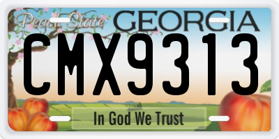 GA license plate CMX9313