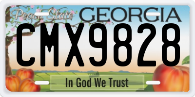 GA license plate CMX9828