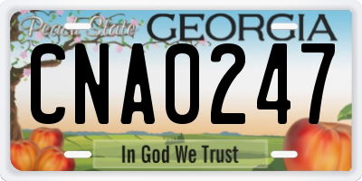 GA license plate CNA0247